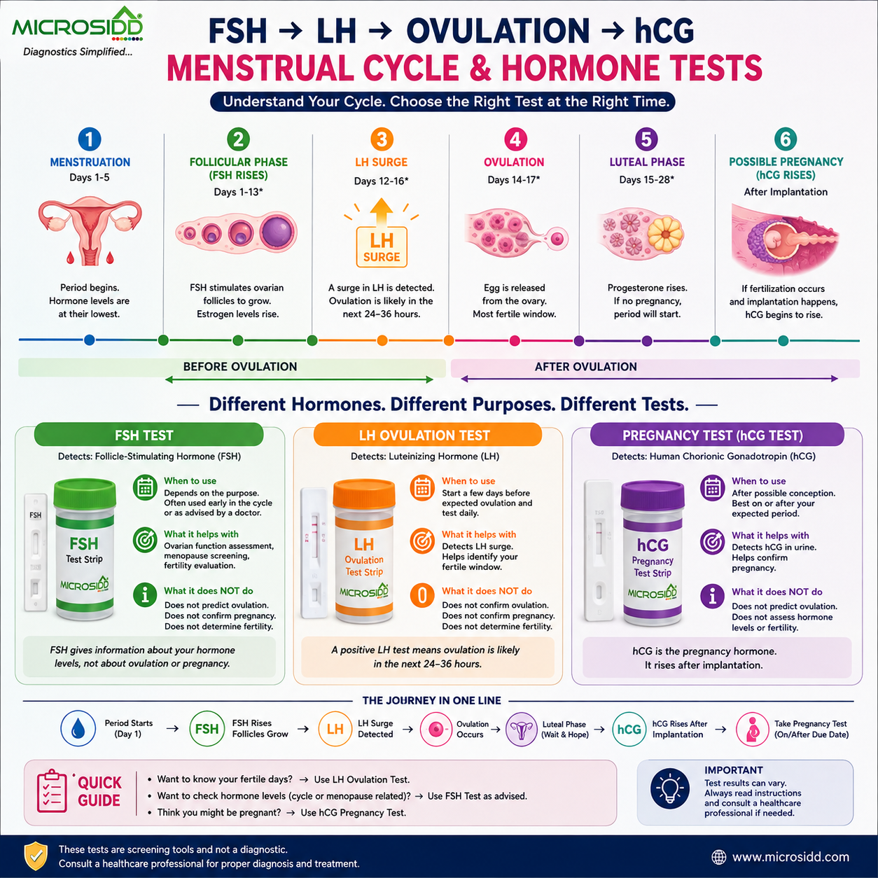FSH vs LH vs hCG: Quick Comparison