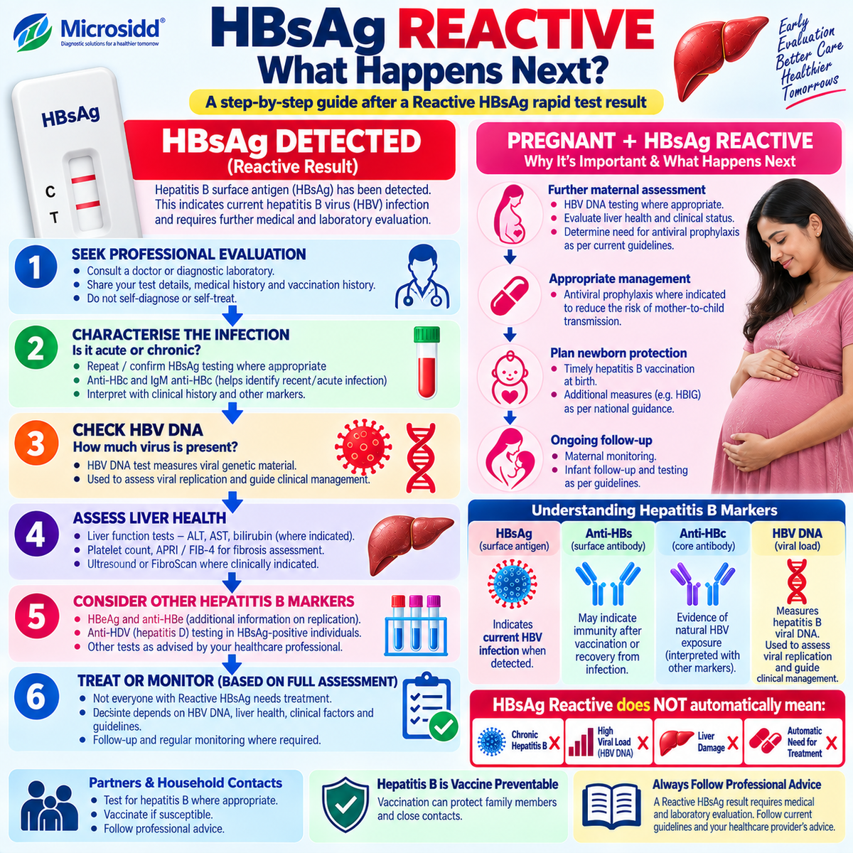 HBsAg reactive result next steps infographic showing HBV DNA acute vs chronic hepatitis B liver assessment HDV testing treatment evaluation and pregnancy follow-up