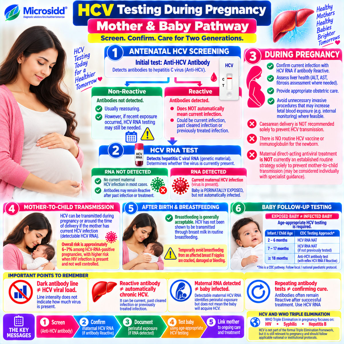 HCV testing during pregnancy infographic showing anti-HCV screening HCV RNA current maternal infection mother-to-child transmission breastfeeding delivery and infant HCV testing