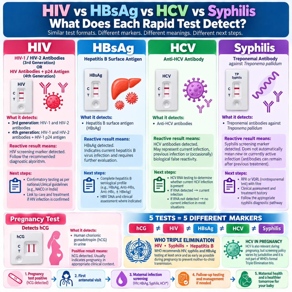 HIV HBsAg HCV syphilis rapid test comparison infographic showing HIV antibodies p24 antigen hepatitis B surface antigen anti-HCV antibodies treponemal antibodies and pregnancy hCG