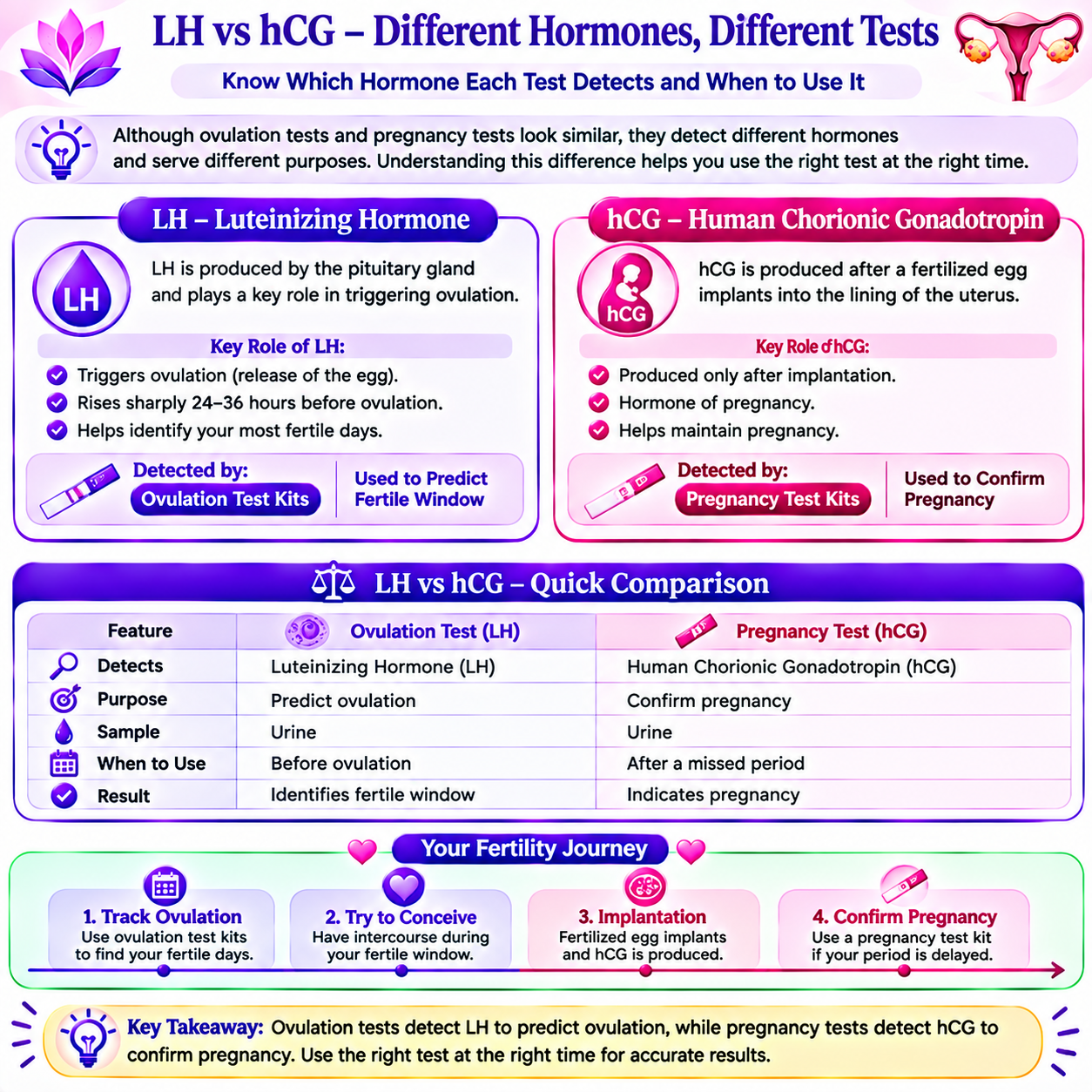 THE COMPLETE GUIDE TO OVULATION TEST KITS