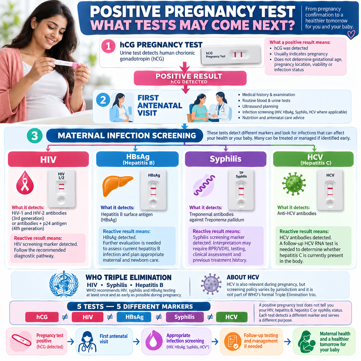 Positive pregnancy test antenatal screening infographic showing hCG pregnancy test followed by HIV HBsAg hepatitis C HCV and syphilis tests at first antenatal visit