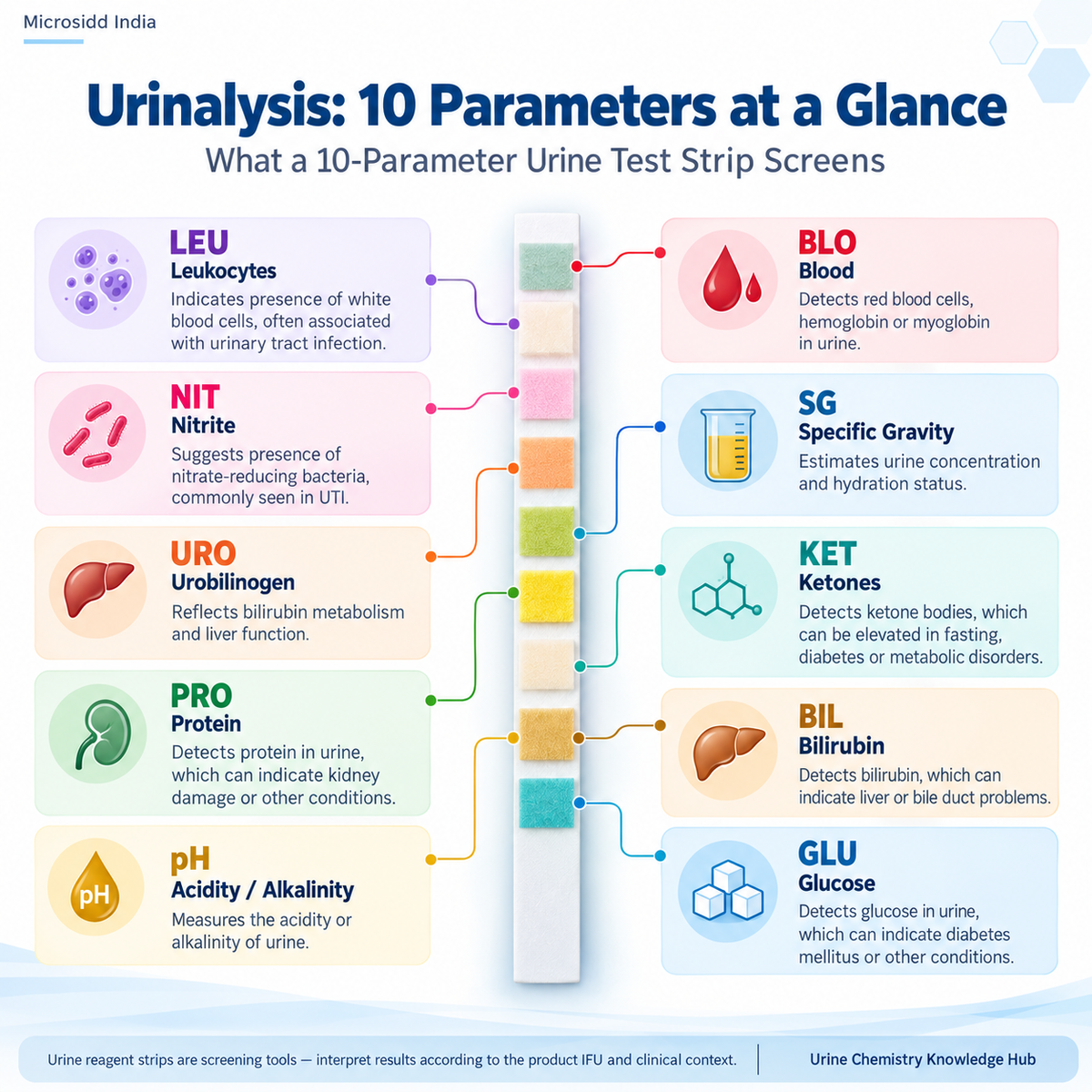 Urinalysis and urine test strips complete guide showing 10 urine chemistry parameters and reagent-strip testing