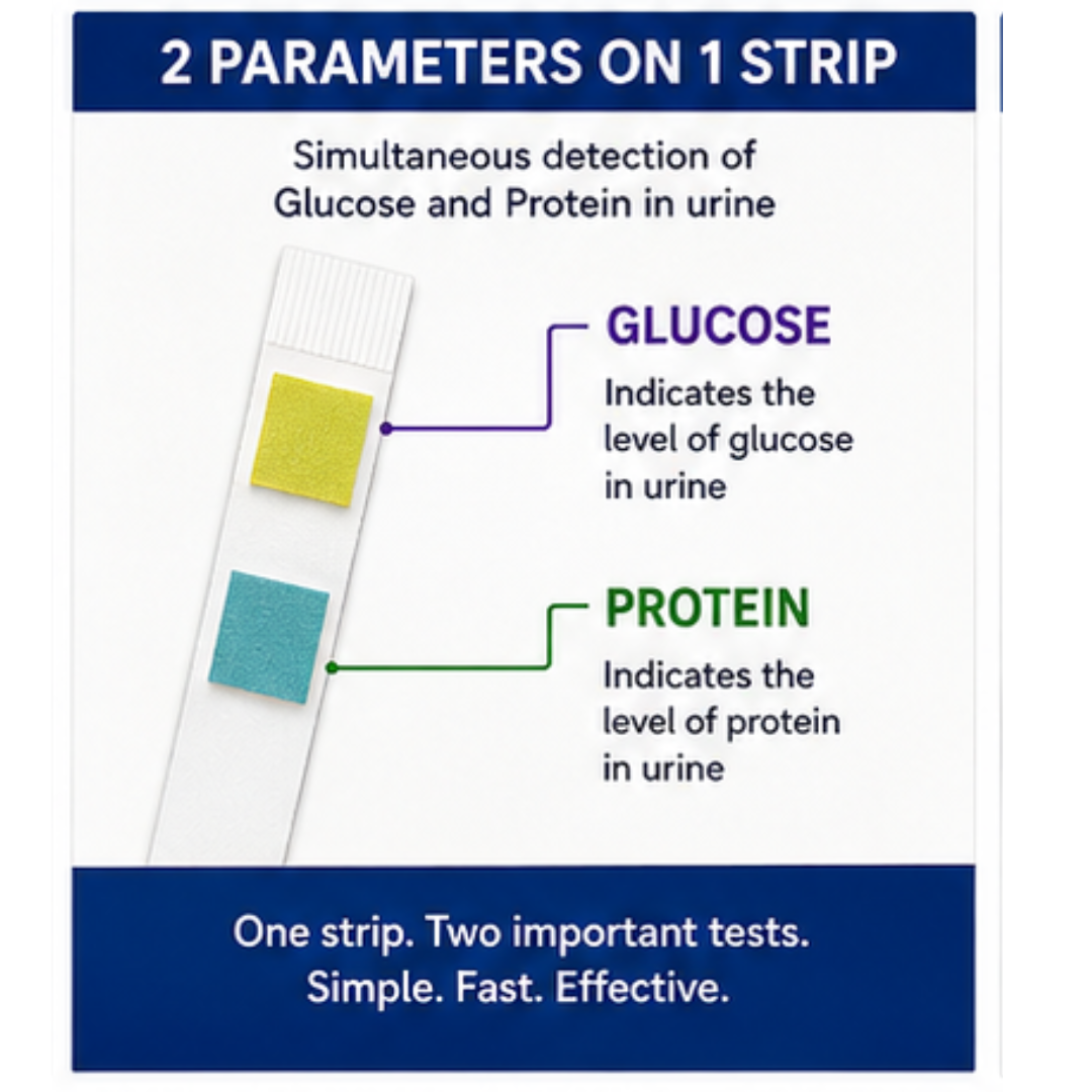Microsidd Glucose Protein Urine Test Strips