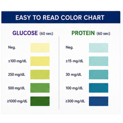 Microsidd Glucose Protein Urine Test Strips | 100 Test Strips | Rapid Urinalysis Reagent Strips for Glucose & Protein Detection