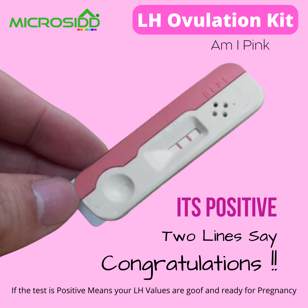 Positive ovulation test strip showing two dark pink lines indicating an active LH hormone surge