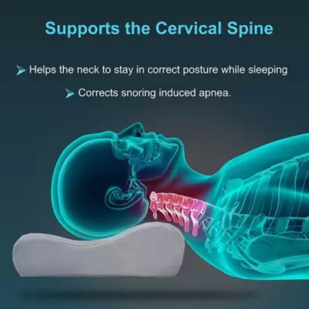 contoured cervical pillow (2)